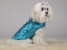Turquoise Princess Coat Turquoise Princess Coat