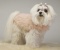 Pink Funk Coat Pink Funk Coat