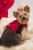 Ruby Rhumba Harness Ruby Rhumba Harness