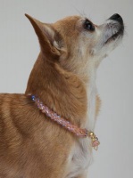 Peach Crystal Cascade Necklace<!--Dogs--><br />