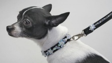 Mother-of-Pearl Luxe Leash