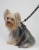 Spike Black Harness Spike Black Harness