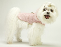 Pink Aviator Coat<br />