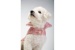 Pink Princess Coat Pink Princess Coat
