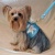 Bluebell Vest Bluebell Vest