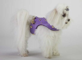 Lilac Golden Grid Vest<br />