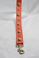Tangerine Golden Grid Leash<br />