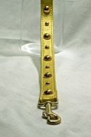 Pistachio Golden Grid Leash<br />