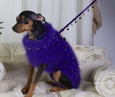 Crocus Leash<br />Coat and leash sold separately