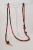 Poppy Field Leash Poppy Field Leash