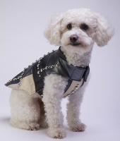 City Coat<br />