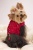 Royal Ruby Harness Royal Ruby Harness