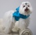 Turquoise Party Puff Turquoise Party Puff