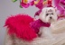 Fire Cha Cha Gown Fire Cha Cha Gown