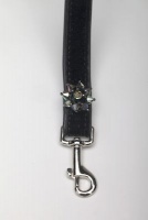 Starry Night Leash<br />