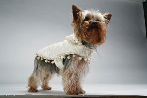 Milky Way Coat<br />