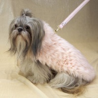 Pink Funk Leash<br />Coat and leash sold separately