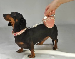 Classic Pearl Collar<br />Collar and leash sold separately