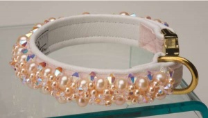 Shell Collar<br />