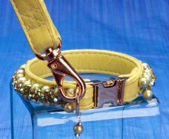 Wasabi Collar<br />Leash sold separately