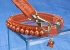 Paprika Leash Paprika Leash
