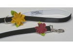 Mod Buds Leash