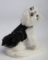 Black Tie Lace Gown<br />