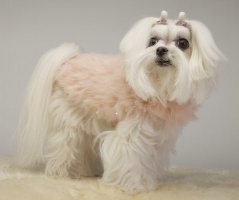 Pink Funk Coat<br />