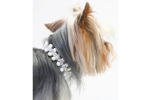 Cream Pearl Necklace<br />
