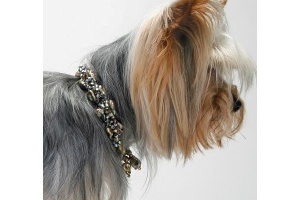 Olive Pearl Necklace<br />