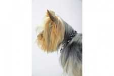 Slate Pearl Necklace