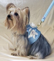 Bluebell Leash<br />Vest and leash sold separately