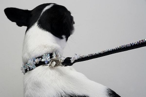 Mother-of-Pearl Luxe Leash<br />Collar and leash sold separately