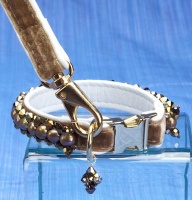 Mushroom Leash<br />Collar and leash sold separately