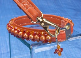 Paprika Leash<br />Collar and leash sold separately