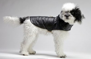 Black Aviator Coat<br />