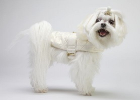 Cream Aviator Coat<br />