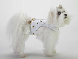 White Golden Grid Harness<br />