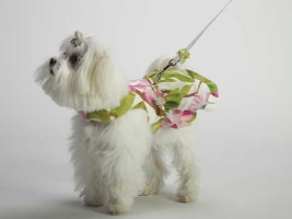 Sweet Pea Linen Dress<br />Coat and leash sold separately