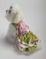 Sweet Pea Linen Dress<br />