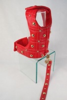 Lipstick Golden Grid Leash<br />Vest and leash sold separately