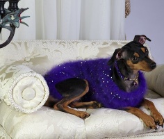 Crocus Bubbles Sweater<br />