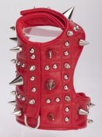 Rouge Heavy Metal Harness<br />