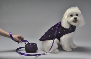 Purple Passion Coat<br />Coat, leash and bag sold separately