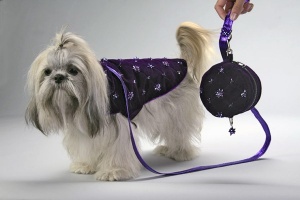 Purple Passion Coat<br />Coat, leash and bag sold separately