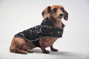 Starry Night Coat<br />
