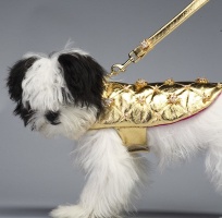 Zircon Coat<br />Coat and leash sold separately