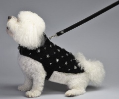 Night at the Opera Coat<br />Coat and leash sold separately