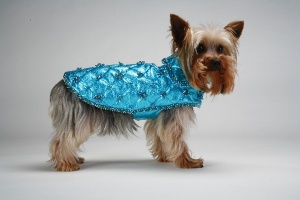 Turquoise Princess Coat<br />