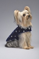 Hanukkah Lights Coat<br />